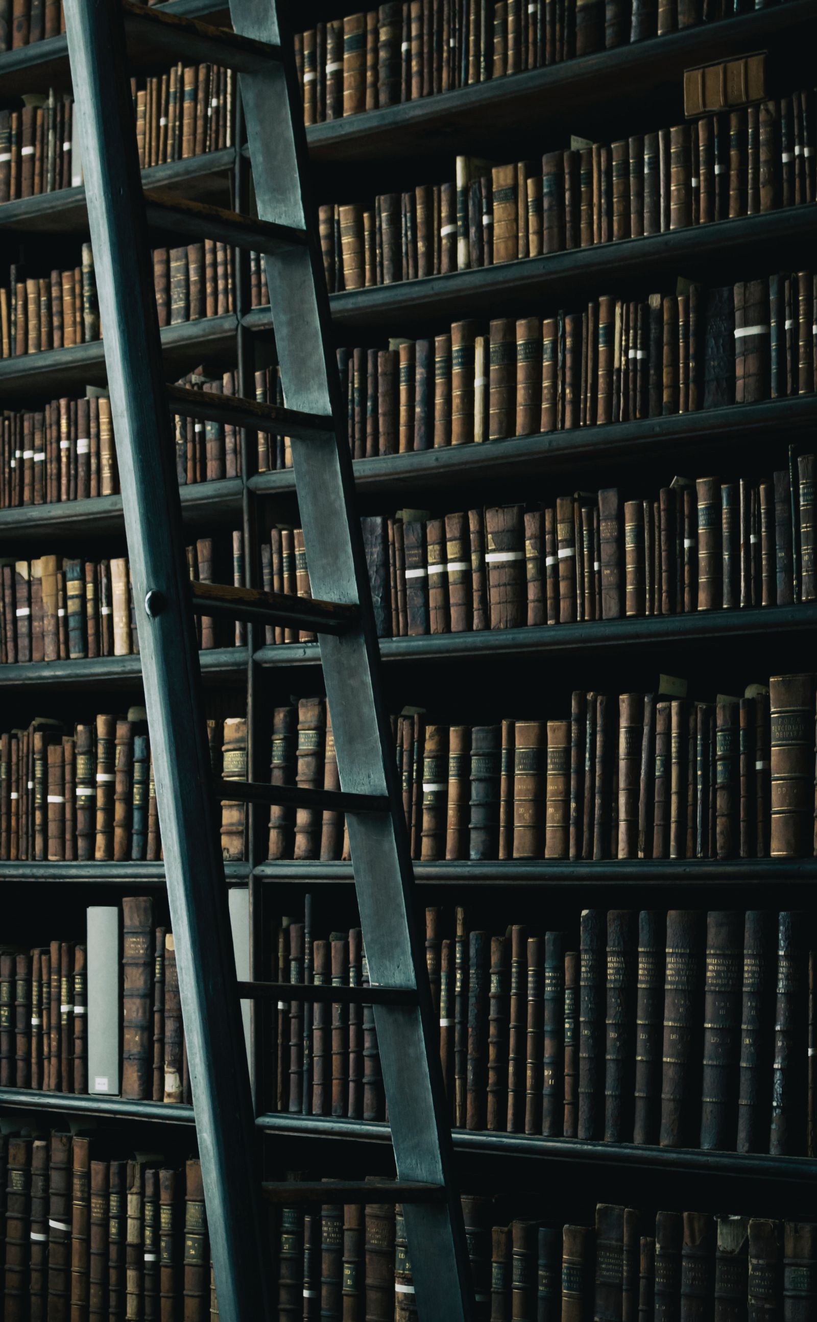 bookshelf with a ladder in front